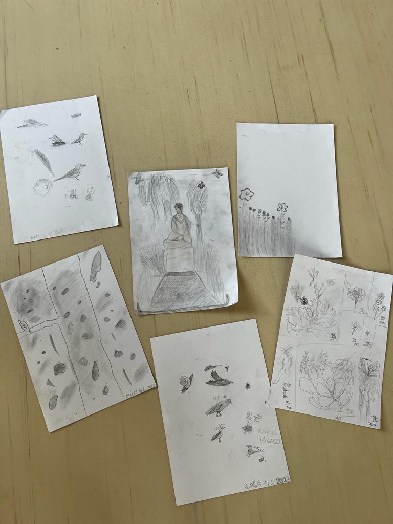 album