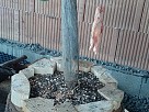 Honza P. - krmítko pro ptáčky