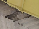 Renovace podlah
